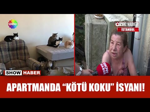 Çöp evde 40'a yakın kedi besliyor!