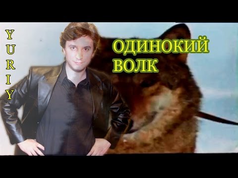 Одинокий волк