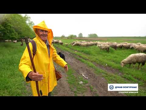 Imamo rešenje ep. 205 08.05.2023. Bergamo, ovca, rasa