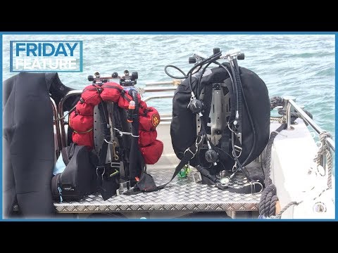 Why You Should Dive On A Backplate