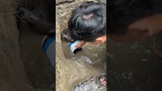 Download lagu DRAIN THE RIVER TO GET A JUMBO CATFISH!!! #river #fish #catfish #fishing mp3 Download lagu DRAIN THE RIVER TO GET A JUMBO CATFISH!!! #river #fish #catfish #fishing mp3