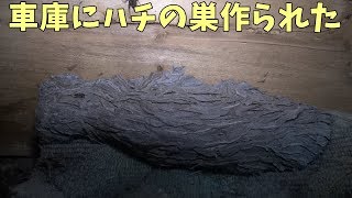 車庫にハチの巣作られた