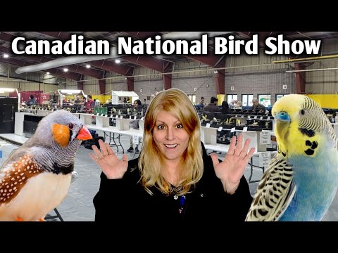 Inside the 66th Annual Canadian National Bird Show | Vendors and Bird Displays!