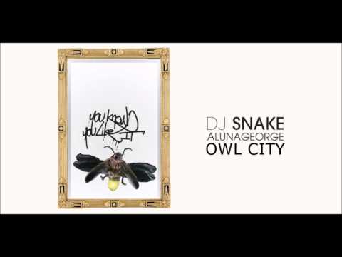 DJ Owl Snake - You Know You Like Fireflies (Mashup)