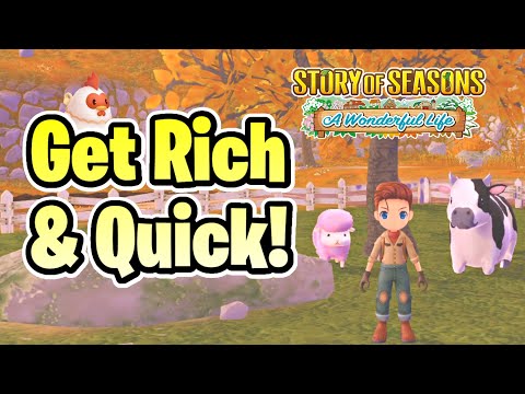 10+ Money Making Tips for Story of Seasons A Wonderful Life!