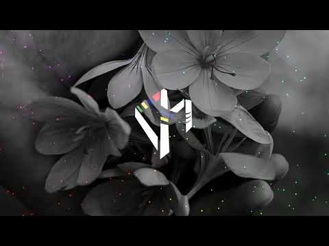 AVISH__-_SAAKI_SAAKI_(UN_TI_NISSA)