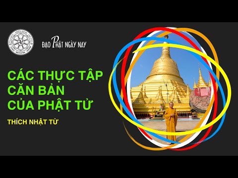 Các thực tập căn bản của Phật tử (7/3/2013)