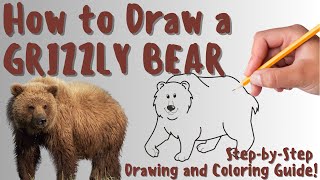 HOW TO DRAW A GRIZZLY BEAR - Fun & Easy Step-by-Step Drawing and Coloring Guide