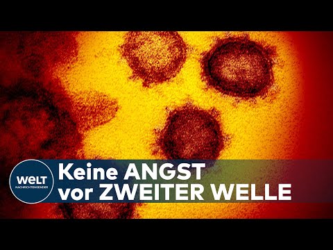 WELT HINTERGRUND: Wie wird Deutschland die zweite Corona-Welle meistern?