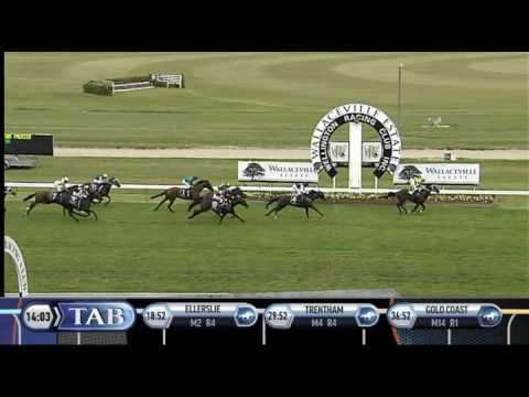 GO RACING SYNDICATIONS PREMIER - Akoya