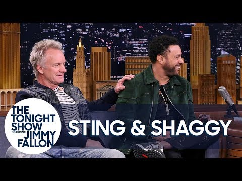 Sting Met Shaggy After He Wandered Onstage During "Roxanne"