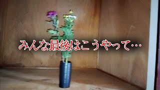【座敷童子ンち】人の最後とお別れが近い人【まるで世にも奇妙な物語】ユーチューバー、幽霊、パワースポット、オカルト、ホラー、怪談、物語、スピリチュアル、座敷わらし、パワースポット