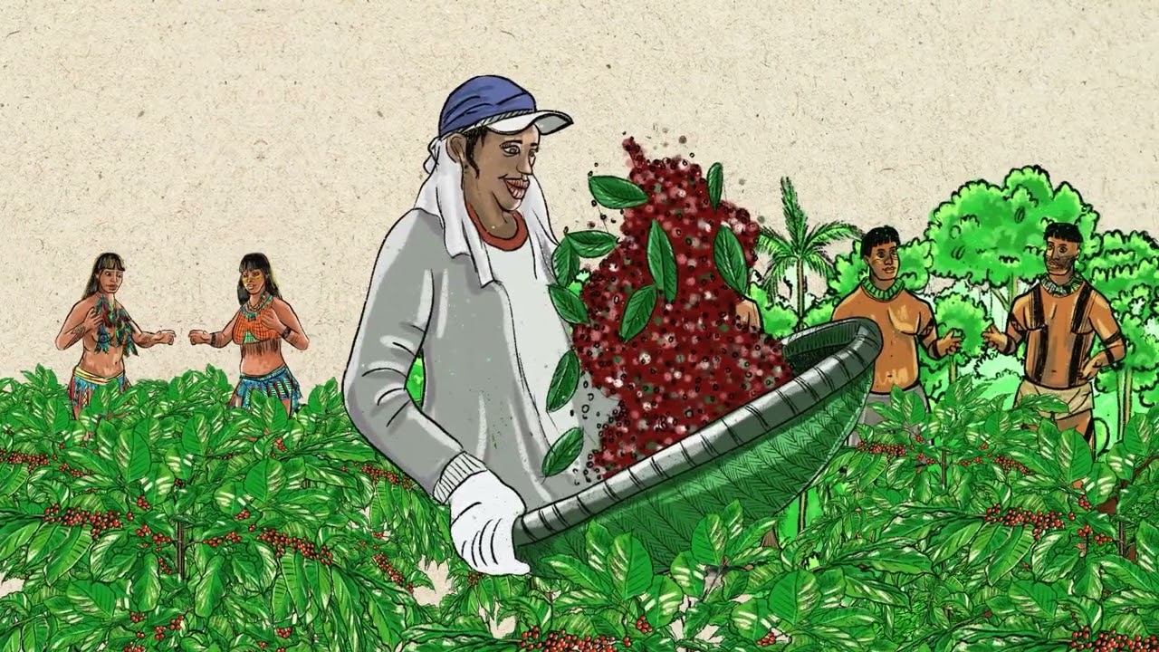 Rondônia: Desafios e Oportunidades de Boas Práticas Sustentáveis | Amazônia Sustentável e Produtiva