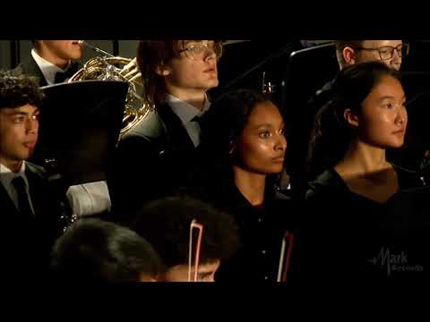 Promotional video thumbnail 3 for Mana Violin — Weddings & Events