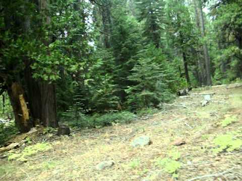 News cast in butte meadows XD