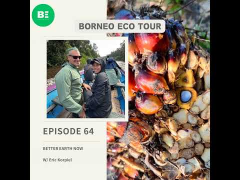 #64 EN【Borneo trip w/ Eric Korpiel】Behind the palm oil industry