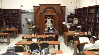גמרא ומשנה  | הרב  משה דנינו | מסכת סוכה - דף מו' עמוד ב' חלק ב' - יב' סיוון - תשפ"ה