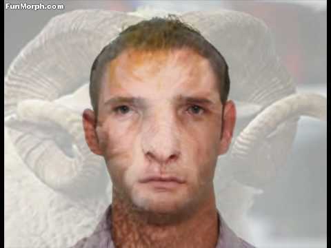 KUSH ESHTE DASHI NE TE VERTETE?