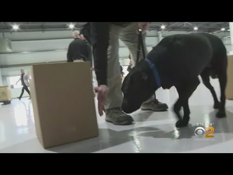 Docs K9 Center
