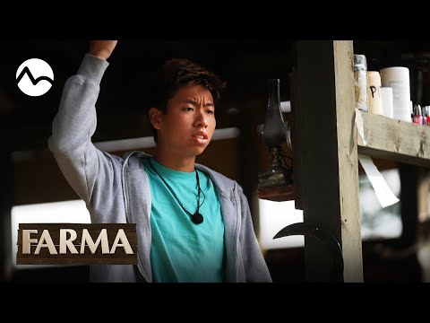 Minh to nezvládol, keď ho barberka neostrihala! - FARMA