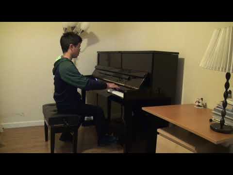 2017 Piano Group V: Honorable Mention:Christopher Yao,14 - Franz Liszt "Un Sospiro"