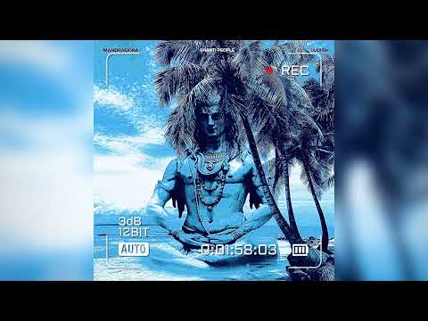 · Shanti People · Mandragora · Dudiish - Shiva Style Pt. 2 (Audio Clip)