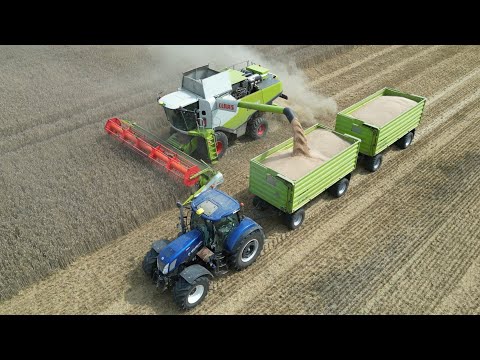 CLAAS LEXION 740 & LEXION 670TT am Triticale dreschen & NEW HOLLAND T7 270 als Abfahrer / 4K