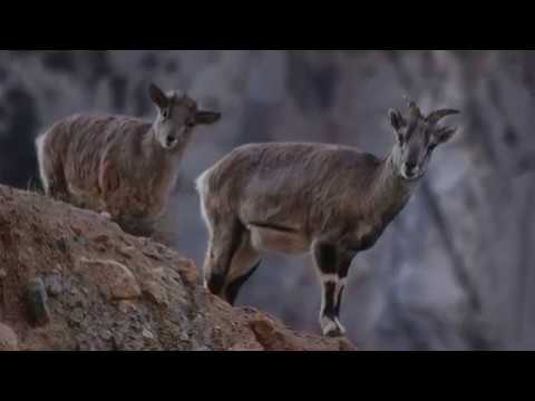 Great Himalayan National Park _Pride of Himachal...