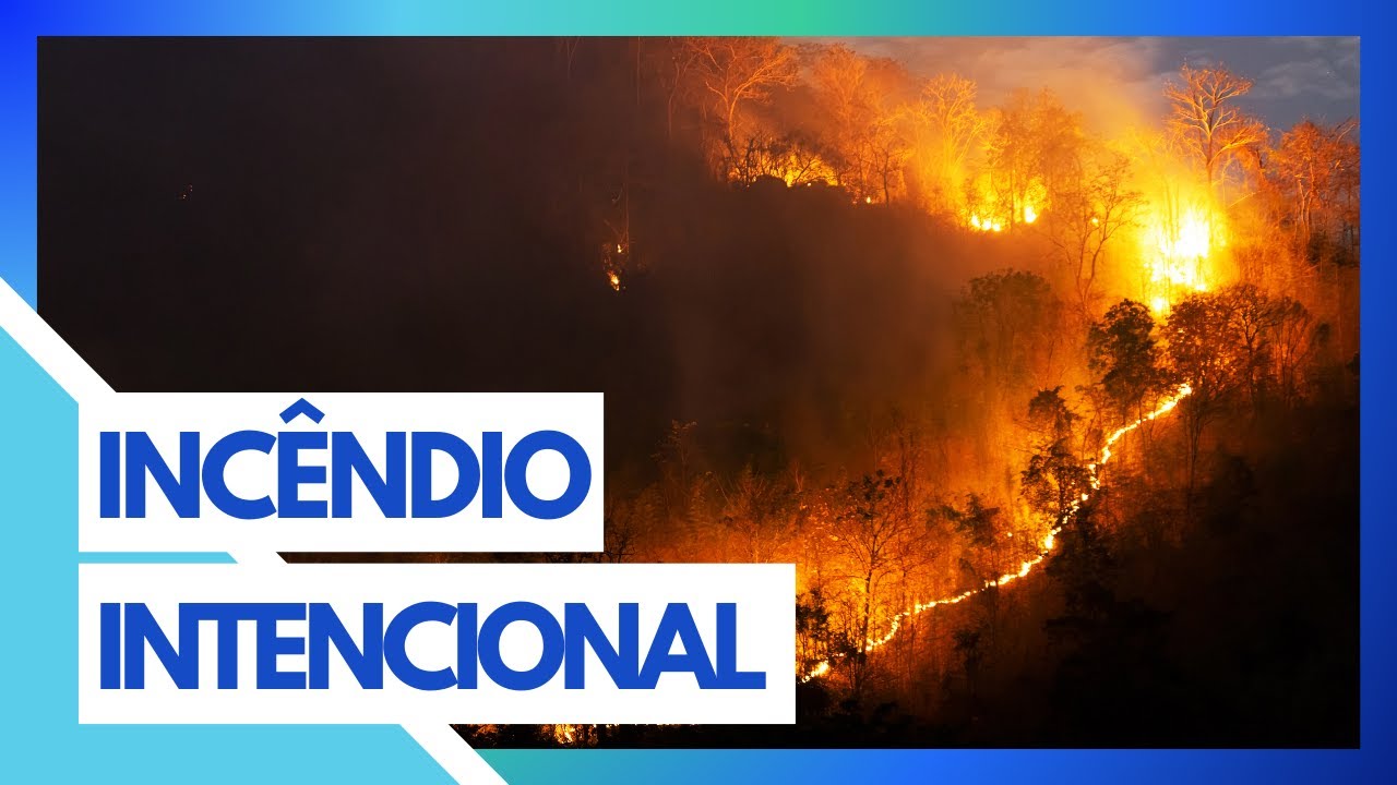 SUSPEITO DE ATEAR FOGO EM MATA TINHA VÍDEO COMEMORANDO O CRIME