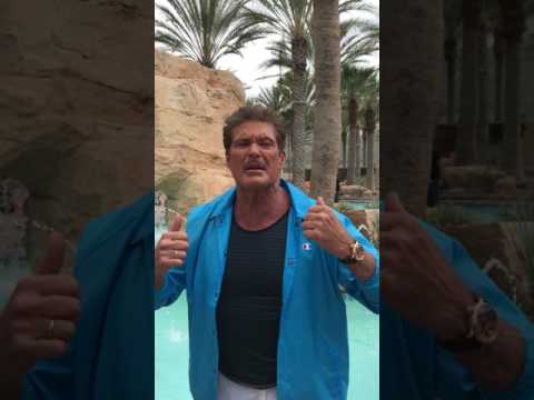 Dobrý festival v Prešove: Pozýva naň David Hasselhoff