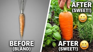 Want SWEETER Carrots? Try These 7 Companion Plants Now!
