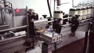 Chameleon Cold-Brew: Behind the Scenes