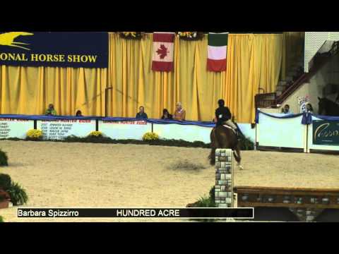 579 HUNDRED ACRE Barbara Spizzirro, Class 231 NAL Adult Hunter Finals