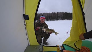 Ссылка