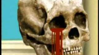 SIX  FEET UNDER - Amerika the Brutal VIDEO CLIP