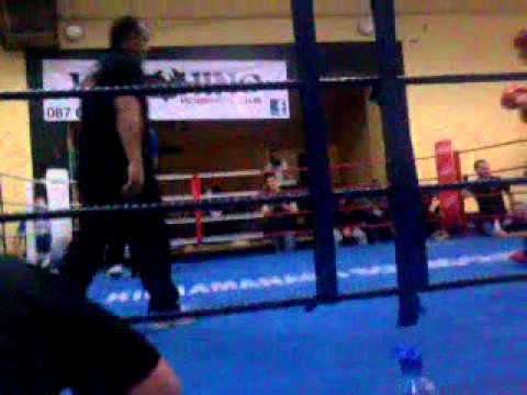 Howard buggy fighting