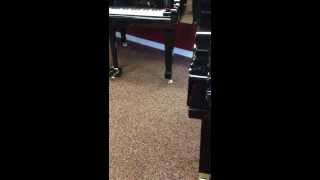 Copy of Ray Charles My Bonnie version