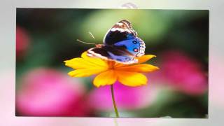 We've Come To This House - Maranatha Singers