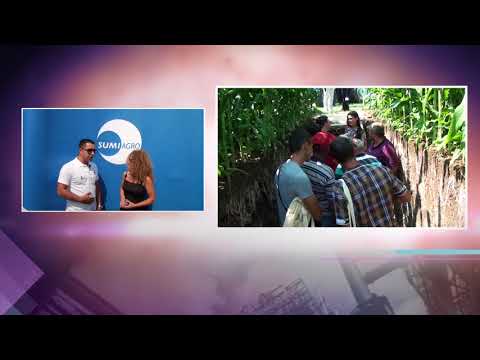 SUMI AGRO - FUAR TV