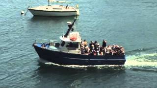 Skomer Island in Pembrokeshire