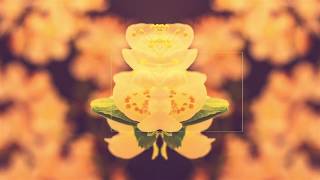 Ernest and Frank - Closing Party at Lio Ibiza