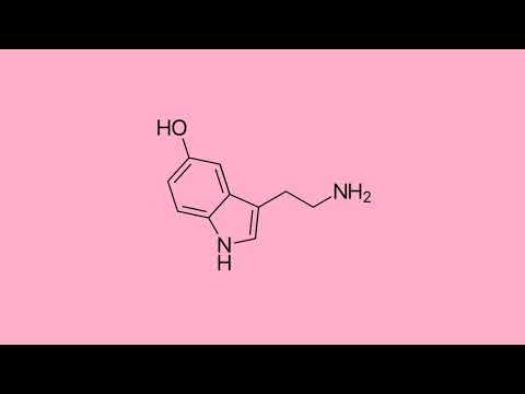 innestany x wolyniec - doprawieni euforią (prod. the bed'zet)