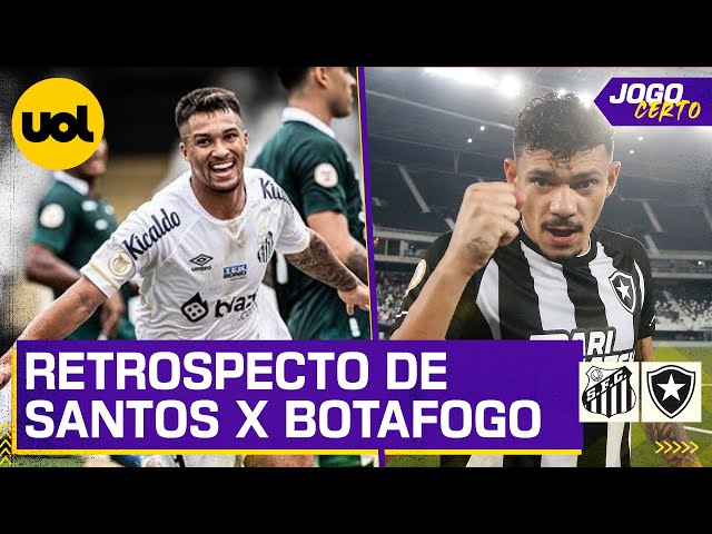 Botafogo x Santos: onde assistir ao vivo e horário