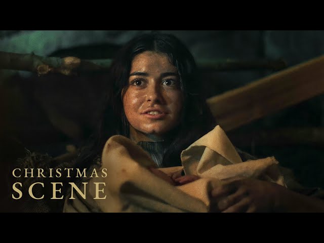 The Shepherds Find Baby Jesus (Luke 2)