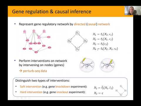 Caroline Uhler, Multi Domain Data Integration  From Observations to Mechanistic Insights