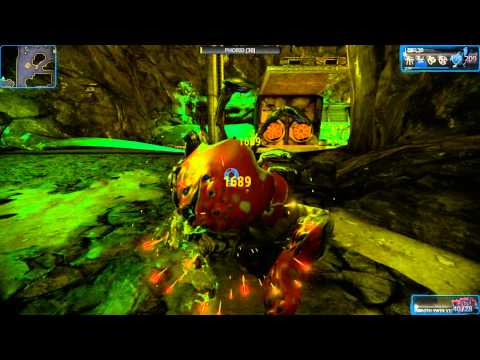 LOKI VS PHORID(LV30) WITH LECTA Normal Attack