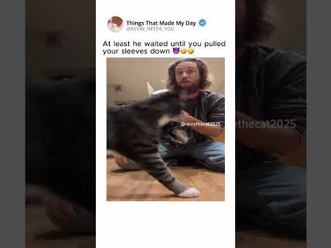 🐈‍⬛: 