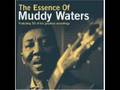 Muddy Waters - Trouble No More