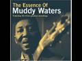 Muddy Waters - Trouble No More 