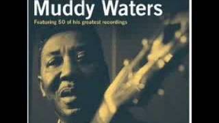 Muddy Waters - Trouble No More